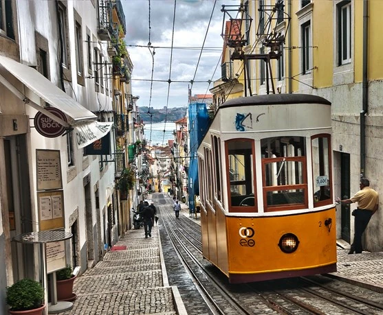 Santuarios Marianos (Lisboa-Roma)  