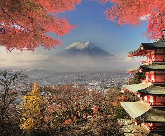 Descubriendo Japón